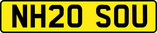 NH20SOU