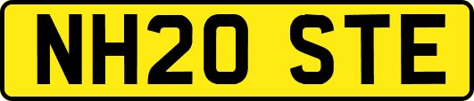 NH20STE