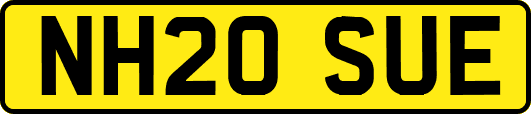 NH20SUE