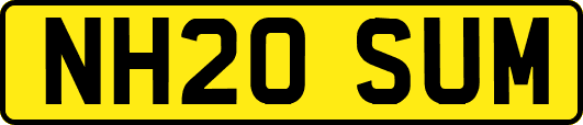 NH20SUM