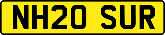 NH20SUR