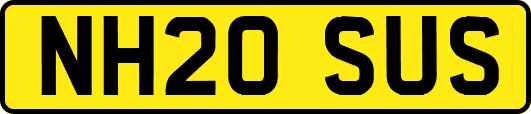 NH20SUS