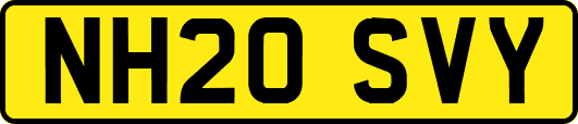NH20SVY