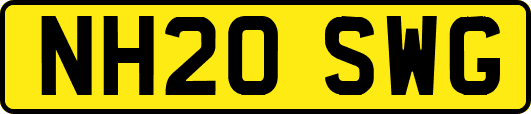NH20SWG