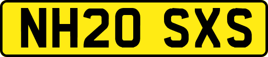 NH20SXS