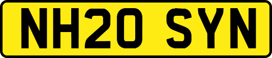 NH20SYN