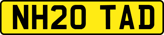 NH20TAD