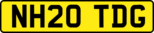 NH20TDG