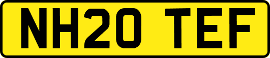 NH20TEF
