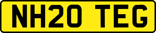 NH20TEG