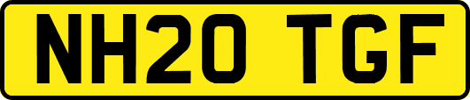 NH20TGF