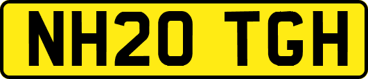 NH20TGH