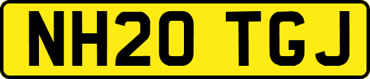NH20TGJ