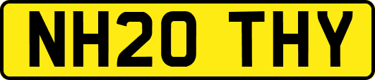 NH20THY