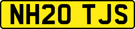 NH20TJS