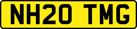 NH20TMG
