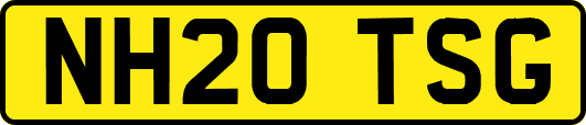 NH20TSG