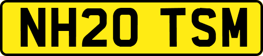 NH20TSM