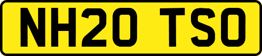 NH20TSO