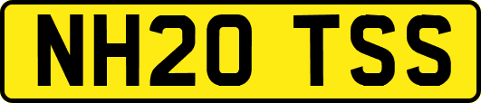 NH20TSS