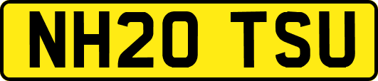 NH20TSU