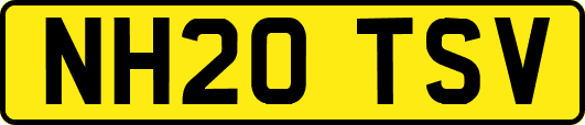 NH20TSV