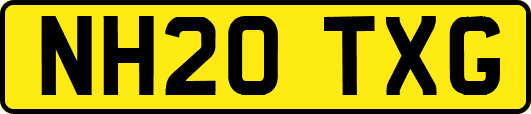 NH20TXG