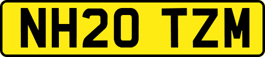 NH20TZM