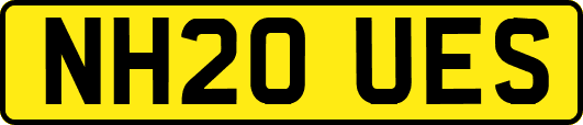 NH20UES