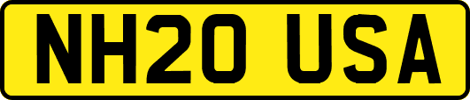 NH20USA