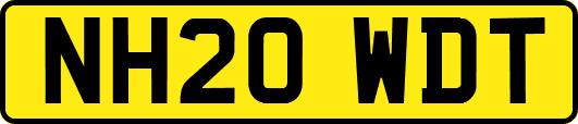 NH20WDT