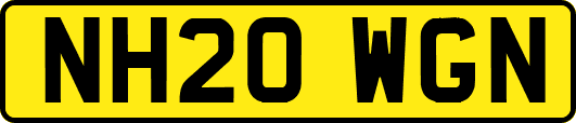 NH20WGN