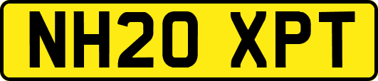 NH20XPT