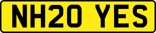 NH20YES