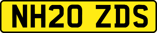 NH20ZDS