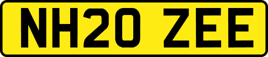 NH20ZEE