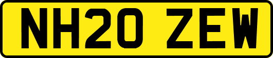 NH20ZEW