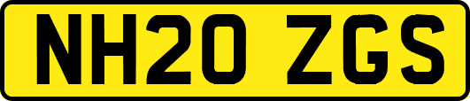 NH20ZGS