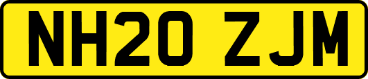 NH20ZJM