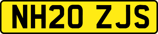 NH20ZJS