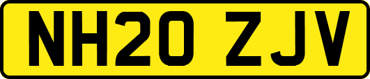 NH20ZJV