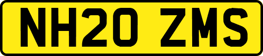 NH20ZMS