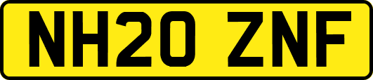 NH20ZNF