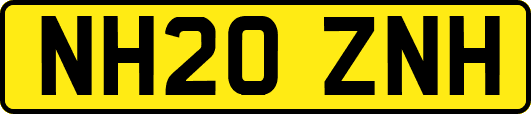 NH20ZNH