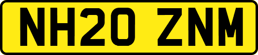 NH20ZNM