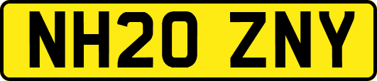 NH20ZNY