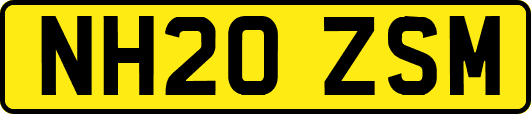 NH20ZSM