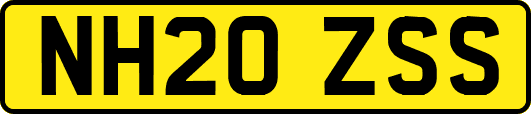 NH20ZSS