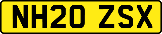 NH20ZSX