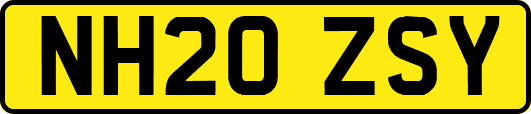 NH20ZSY